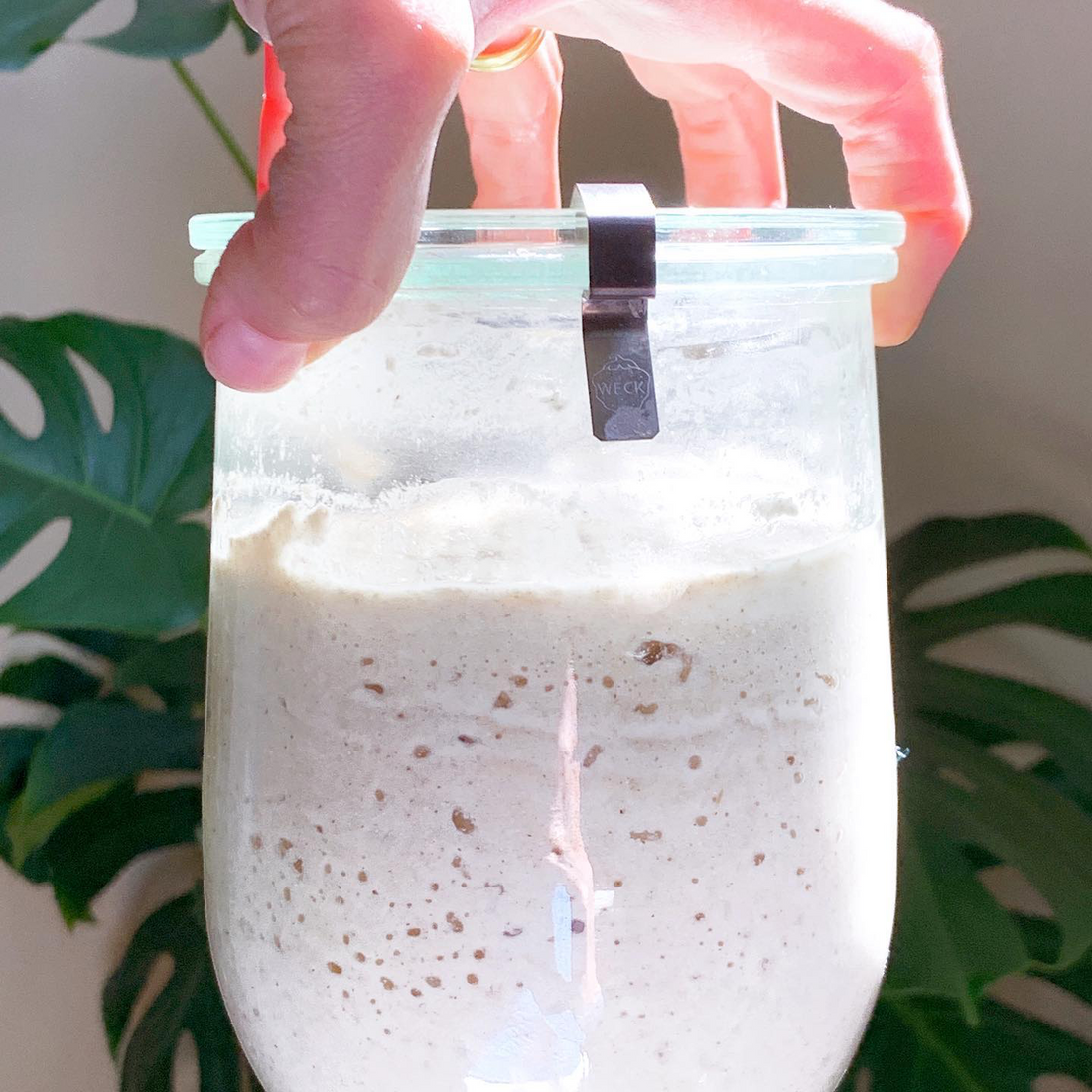 How to Start a Gluten-Free Sourdough Starter from Scratch