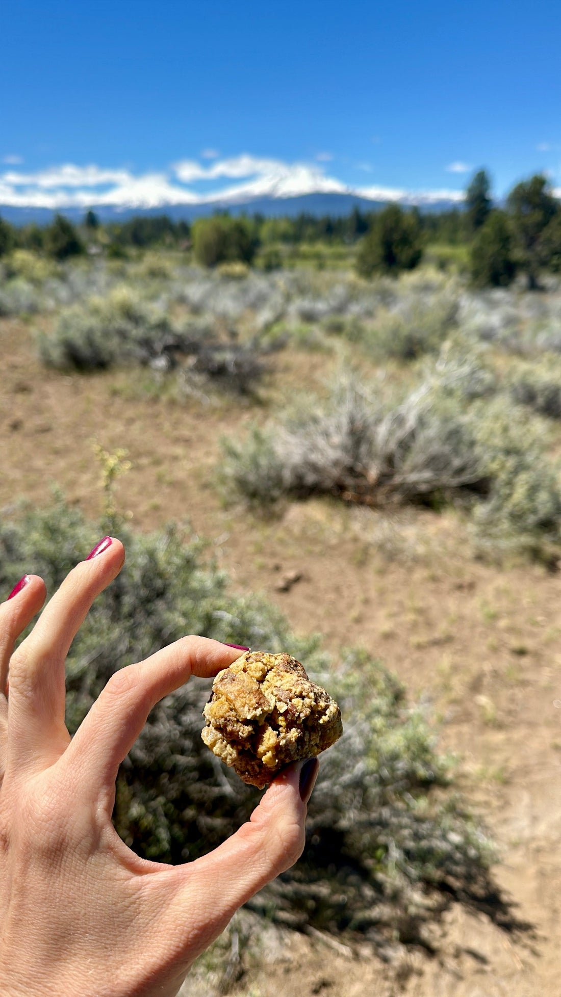 leftover meatball on an adventure