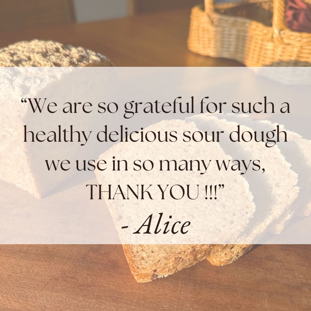 Organic, gluten-free, nutrient-dense, gut-friendly, gluten-free sourdough review